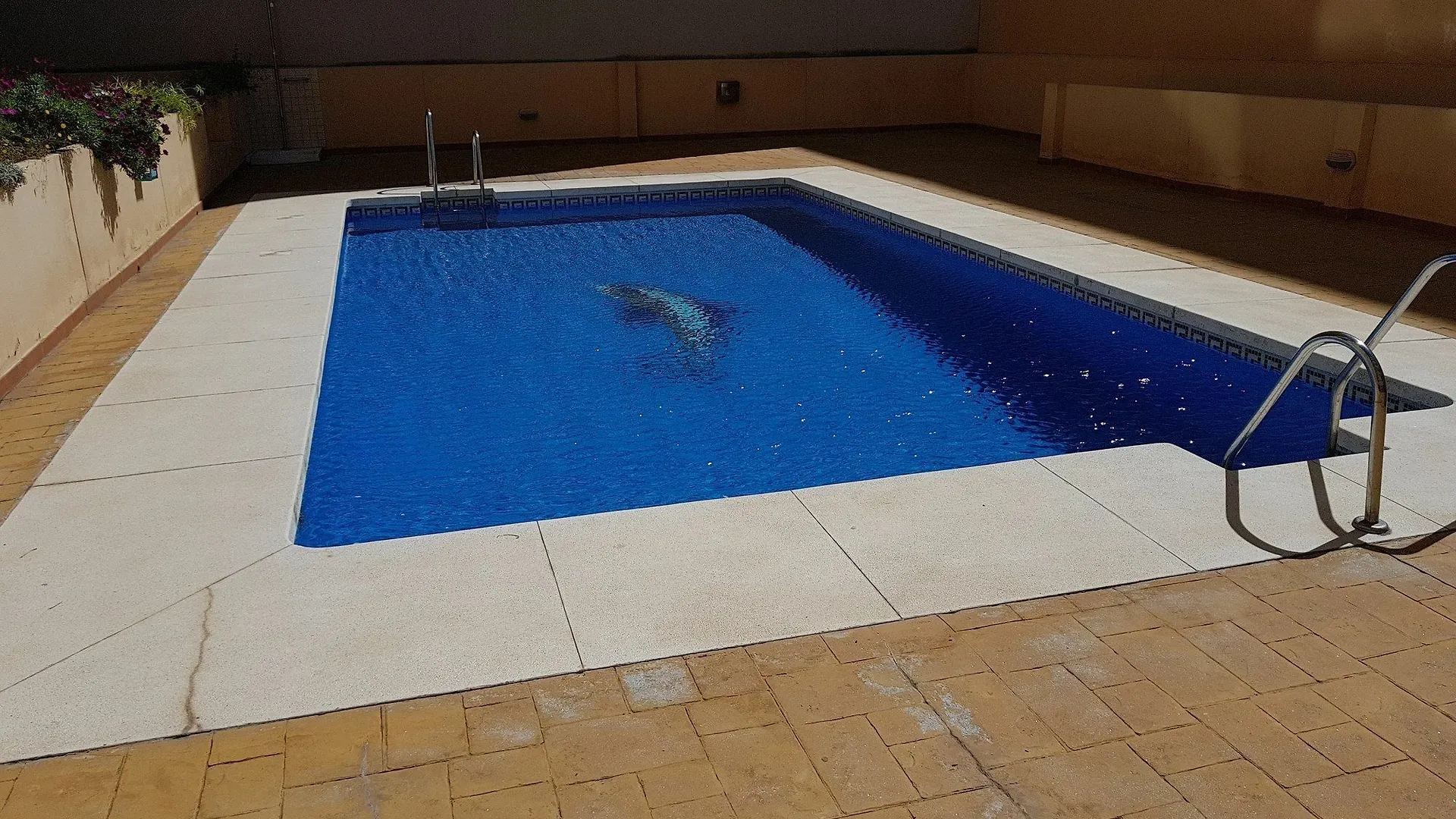 Fan Flat Sunset Apartment Malaga
